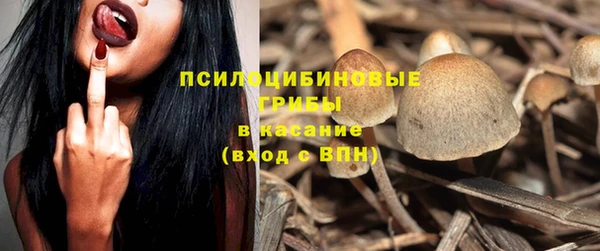 прущие крисы Медногорск